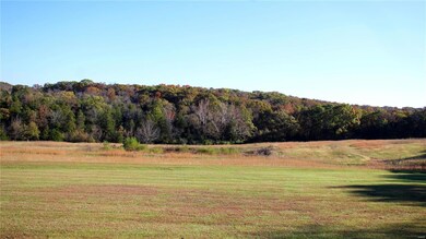 716 Creek Bend Crossing, Robertsville, MO 63072 - photo 3