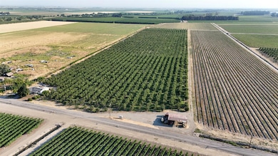 787 W Sutter Island Cross Rd, Courtland, CA 95615 - photo 2