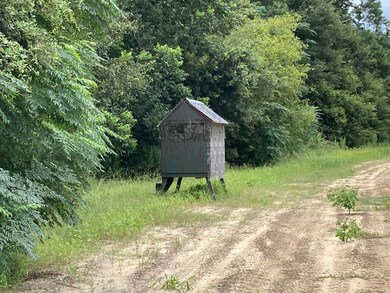 0 Sandspur Loop, Baconton, GA 31716 - photo 3