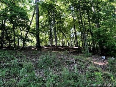 0 Mallard Rd unit 171 & 323 3396654, Lake Lure, NC 28746 - photo 2