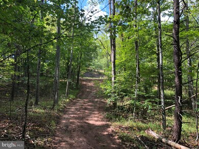 0 Virginia Line Rd unit WVMO115566, Berkeley Springs, WV 25411 - photo 7