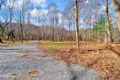 Tbd McInturff Springs Rd, Erwin, TN 37650 - photo 2