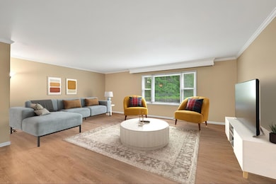 Large Living Room