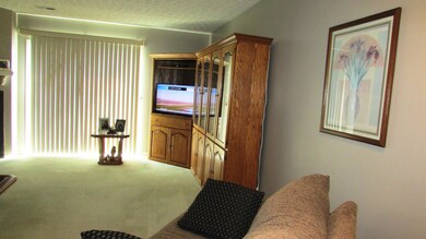 CUSTOM BLINDS