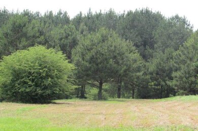 19 Dunaway Loop 004