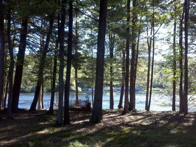 117 Hemlock Point Ct, Hawley, PA 18428 - photo 2