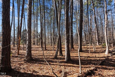 23-web-or-mls-ECH06327