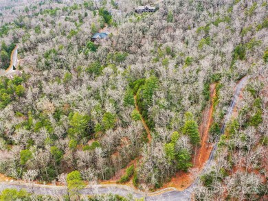 0 Springhouse Trail unit 15 CAR4228686, Brevard, NC 28712 - photo 7