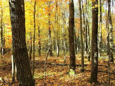 Lot 17 103rd St, Bone Lake, WI 54837 - photo 5