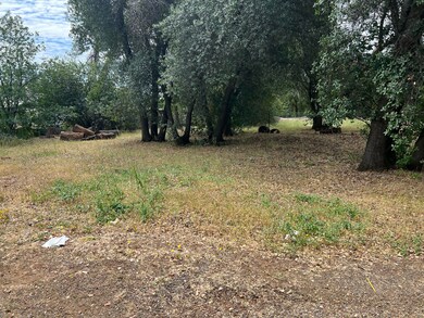 1631,1641 Mistletoe Ln, Redding, CA 96002 - photo 5