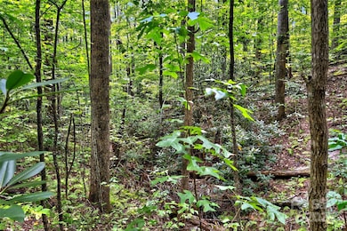 100 Comet Falls Trail unit 235, Black Mountain, NC 28711 - photo 6