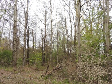 0 68th St, South Haven, MI 49090 - photo 2