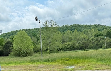 6059 Highway 36 W, Rose Bud, AR 72137 - photo 3