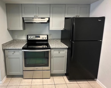 2120 El Paseo St unit 2906, Houston, TX 77054 - photo 6