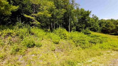 0 Preedom Hill Rd S unit 7 4806941, Ludlow, VT 05149 - photo 5