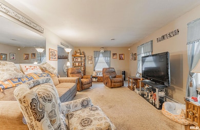 224 Rhoads Ave, Lincoln, IL 62656 - photo 5