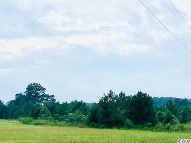 TBD W Brownway Cir, Conway, SC 29527 - photo 4