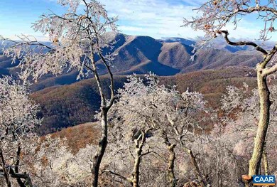 224 Blackrock Cir, Roseland, VA 22967 - photo 3