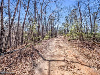 000 Forester Ln unit 24, Mill Spring, NC 28756 - photo 6