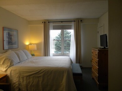 28 Packard Rd unit 411, Waterville Valley, NH 03215 - photo 5