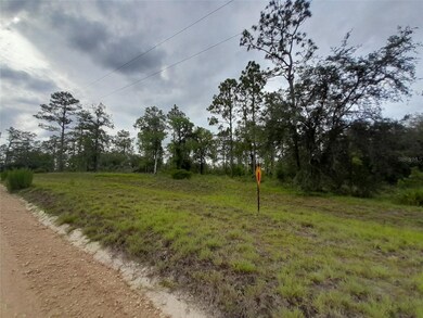 TBD SE 71st Place, Morriston, FL 32668 - photo 6
