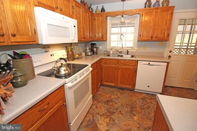 2716 Cave Ridge Rd, Mount Jackson, VA 22842 - photo 6