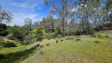 1641 Hidden Bridge Rd, El Dorado Hills, CA 95762 - photo 2