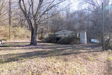 IMG_8435