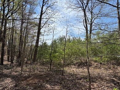 0 Spencer Rd unit 7 57122, Concord, VA 24538 - photo 3