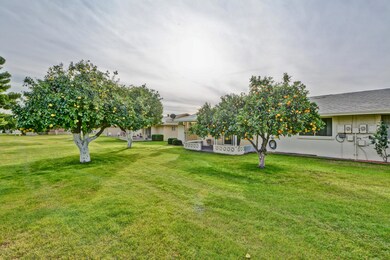 Back Patio - Common Area