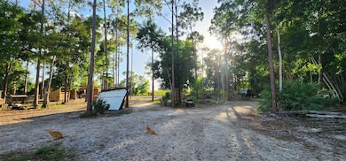 3335 Dellwood Rd, Loxahatchee, FL 33470 - photo 5