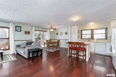 1341 W 59th St, Davenport, IA 52806 - photo 4