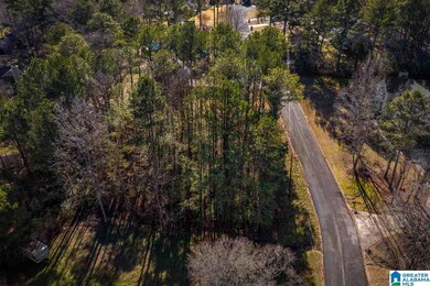 0 Scenic Trail unit 21411084, Oneonta, AL 35121 - photo 6