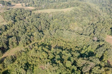 8450 Highway 196, Nancy, KY 42544 - photo 6