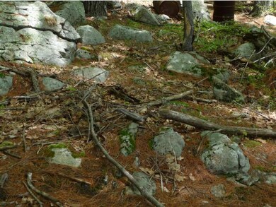 88B Rattlesnake Island, Alton, NH 03809 - photo 6