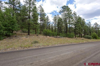 966 Starling Cir, Pagosa Springs, CO 81147 - photo 5