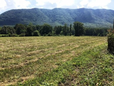 Lot 26 Cutshaw Ln, Greeneville, TN 37743 - photo 6