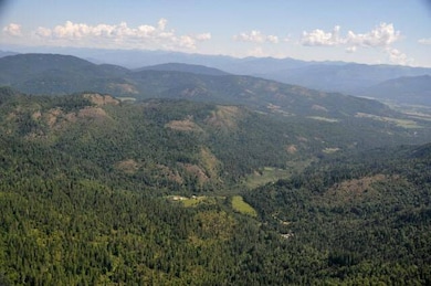 1791 Pup Paw Trail, Priest River, ID 83856 - photo 6