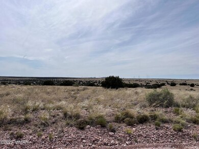 0 Poplar St, Snowflake, AZ 85937 - photo 3