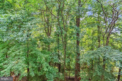 3301 Sir Thomas Dr unit 32, Silver Spring, MD 20904 - photo 6