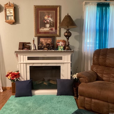 806 Sampson Ave, Mena, AR 71953 - photo 6