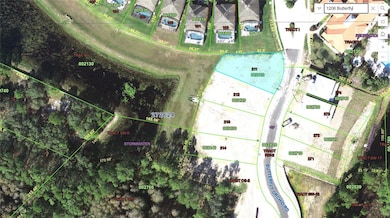 1206 Butterfly Orchid Rd, Davenport, FL 33837 - photo 3