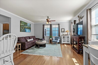 Living area featuring a ceiling fan, crown molding