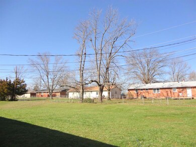 great backyard.JPG