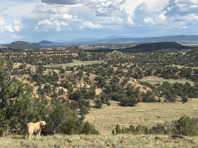 0 Nsn Highway 36 unit 11615222, Fence Lake, NM 87513 - photo 3