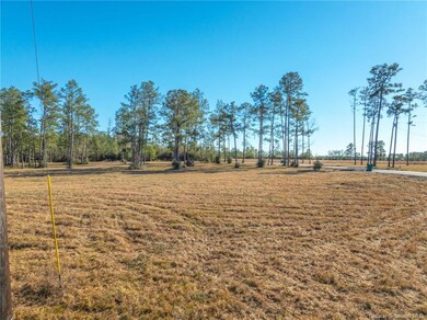 0 John Paul Moore Rd, Sulphur, LA 70663 - photo 4