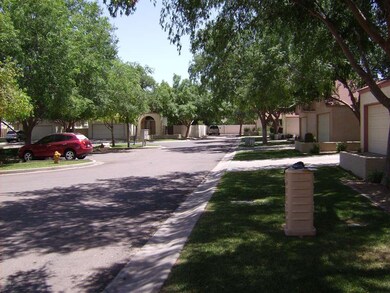 Tree lined streets
