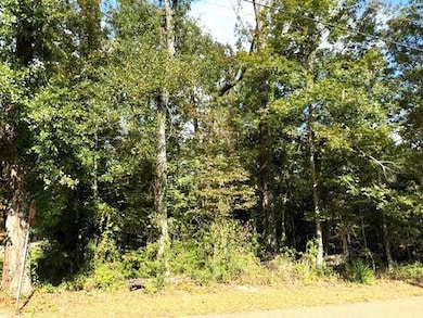 551 Colbert St, Mandeville, LA 70448 - photo 3