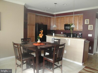 25348 Curiosity Square unit 11E, Aldie, VA 20105 - photo 7