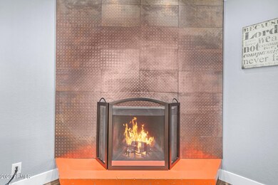 Wood burning fireplace
